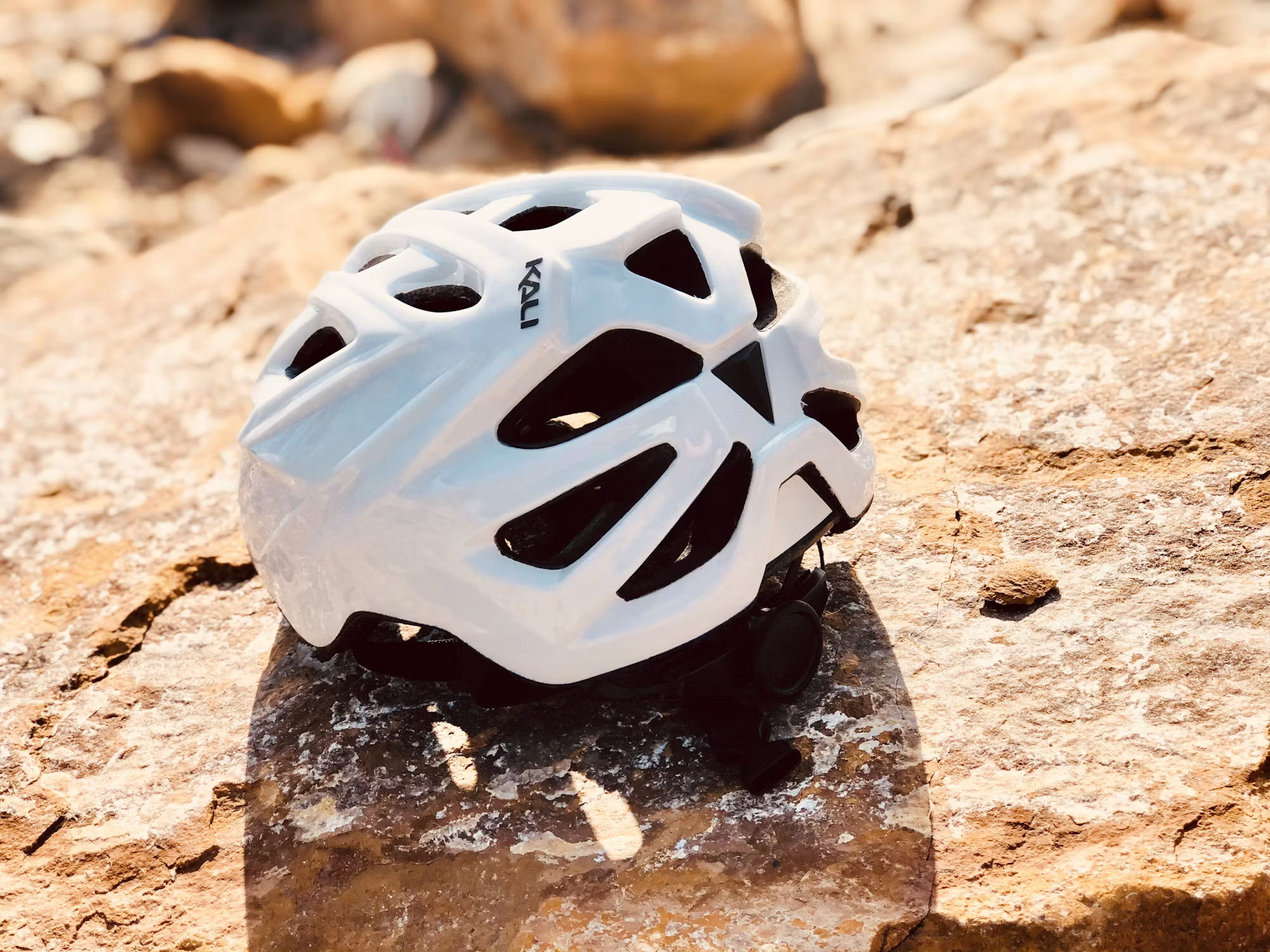 Cycling for All: Embracing Diversity in the World of Bicycles